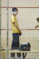 IMG (100)